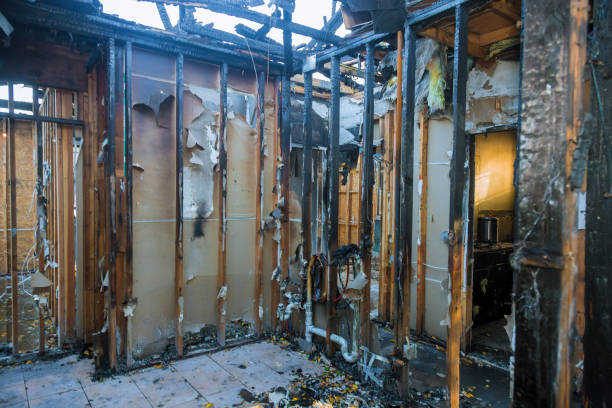 Professional Fire Damage Removal technician working in South Hill, NY